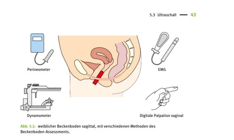 Beckenboden testen